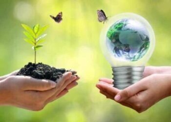 What is Social Innovation and why it’s a solution for a new world?