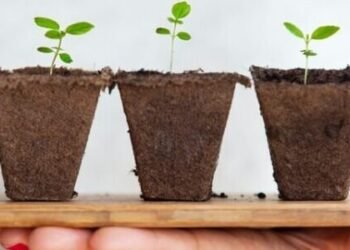 A New Era of Investing: Impact Investing and Innovating with Purpose