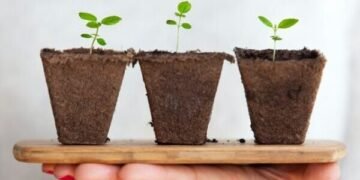 A New Era of Investing: Impact Investing and Innovating with Purpose