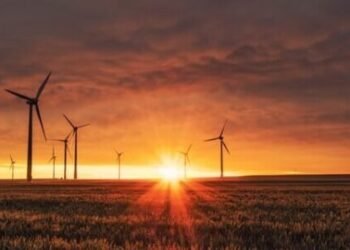 Technology for Social Change: Learning Experiences from Africa