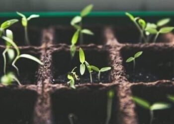 How and When do you need to scale your business?