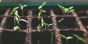 How and When do you need to scale your business?