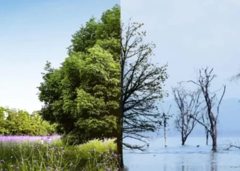 Climate change impactdots.com impact dots impactdots