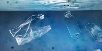 Everything we can do with our waste! impactdots.com impact dots impactdots