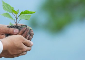 The Surprising Economic Benefits of Volunteering