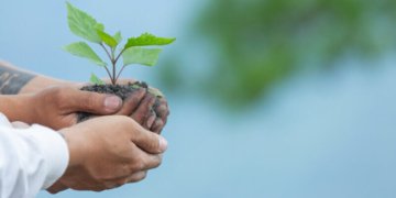 The Surprising Economic Benefits of Volunteering