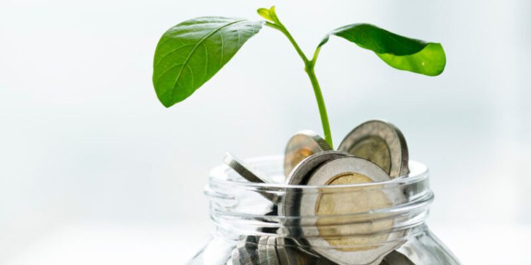 Understanding Sustainable Investing