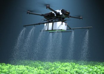 Unlocking the Power of Socially Innovative Ideas