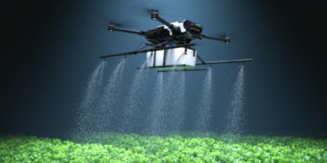 Unlocking the Power of Socially Innovative Ideas