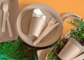 How to live more sustainably?