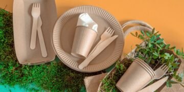 How to live more sustainably?