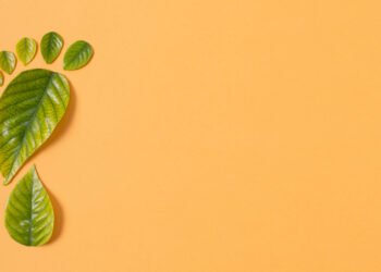 Reduce Your Carbon Footprint: Simple Tips to Help the Planet