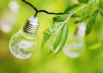 Discover the Power of Green Energy Solutions