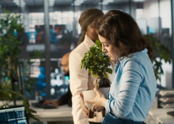 How to Scale an Impact-Driven Startup: Strategies for Success