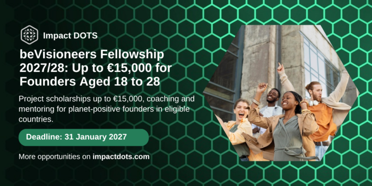 beVisioneers Fellowship 2027/28 project scholarships for planet-positive founders, Impact DOTS